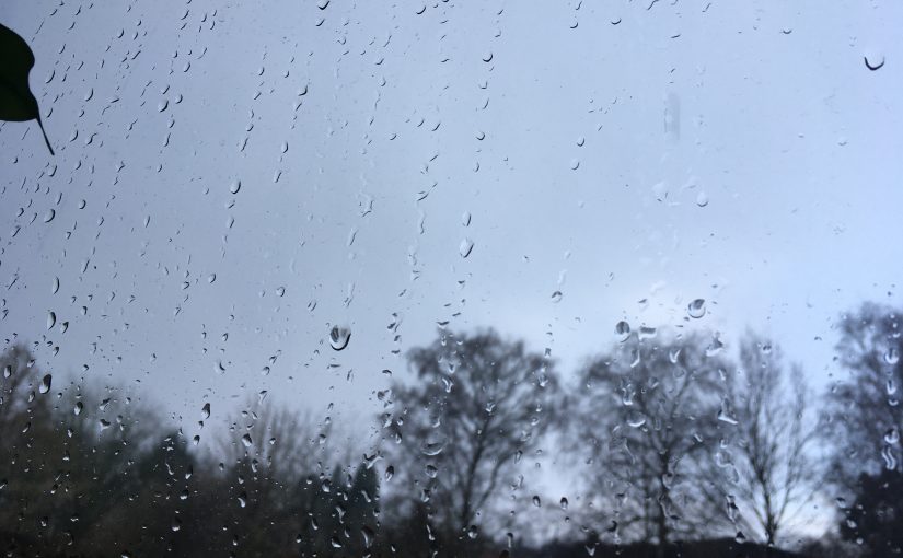 Raindrops