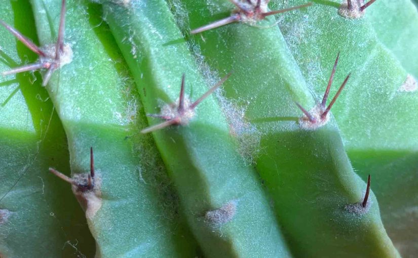 Sprachlos – Vom Ärger zur Ruhe