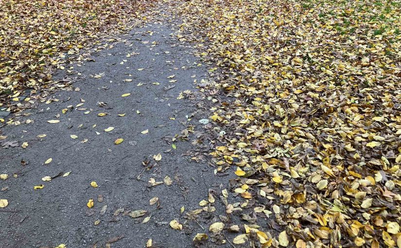 Herbstgedanken: Haltung vs. Ideologie