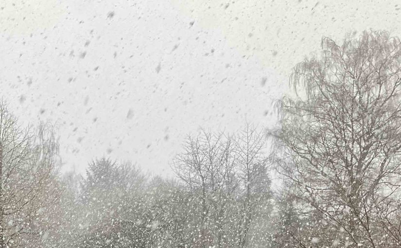 Schnee und Hegel